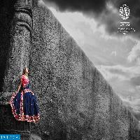 aviva kanheri Wholesale Festival Special Ethnic Saree